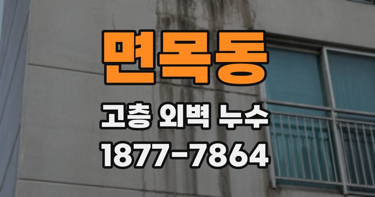 면목동 고층 외벽 누수