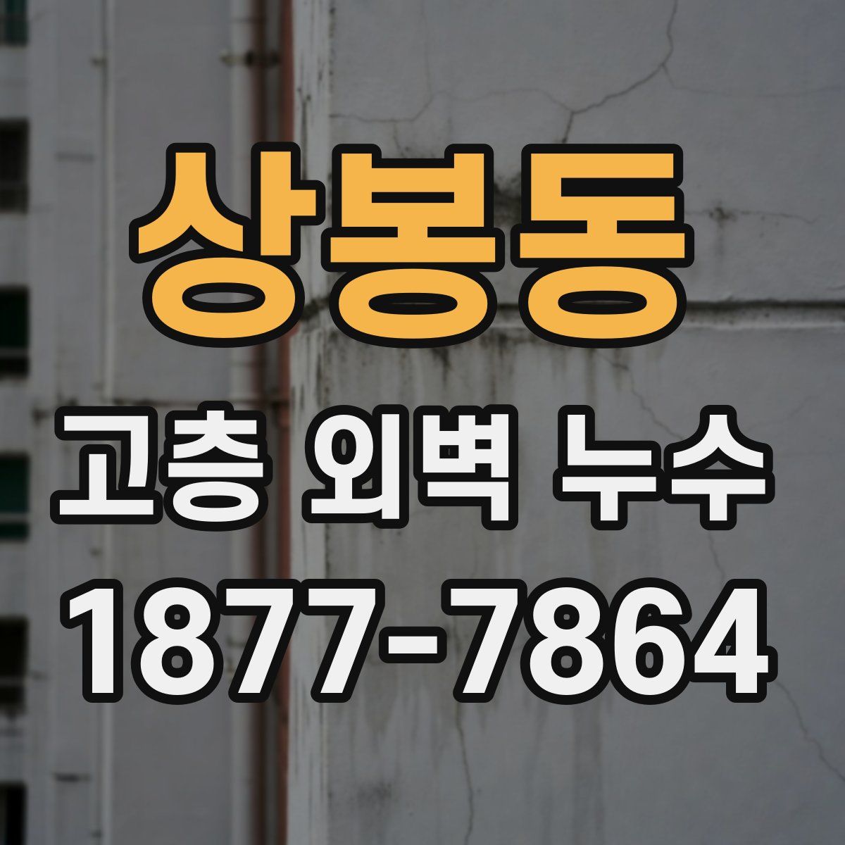 상봉동 고층 외벽 누수