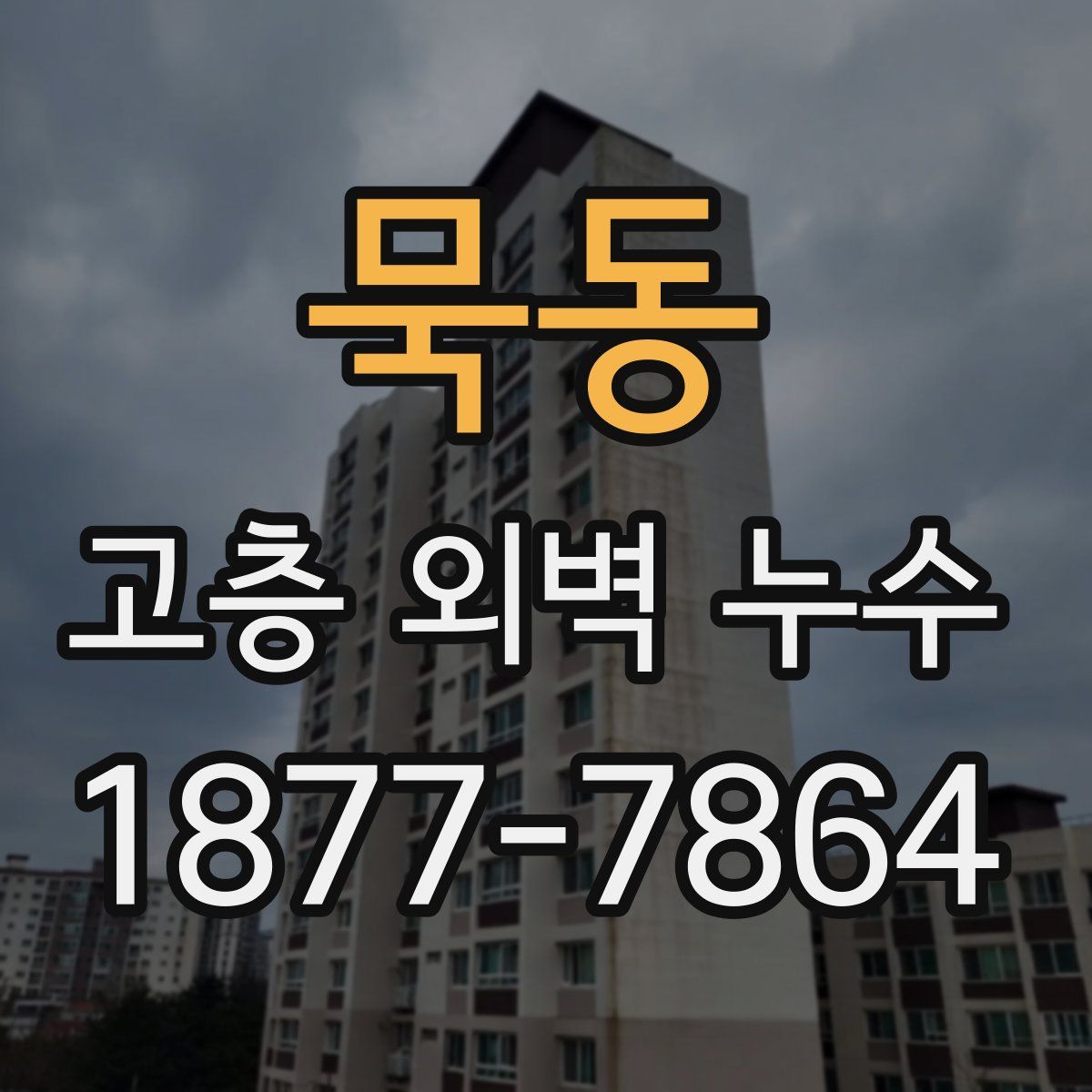 묵동 고층 외벽 누수