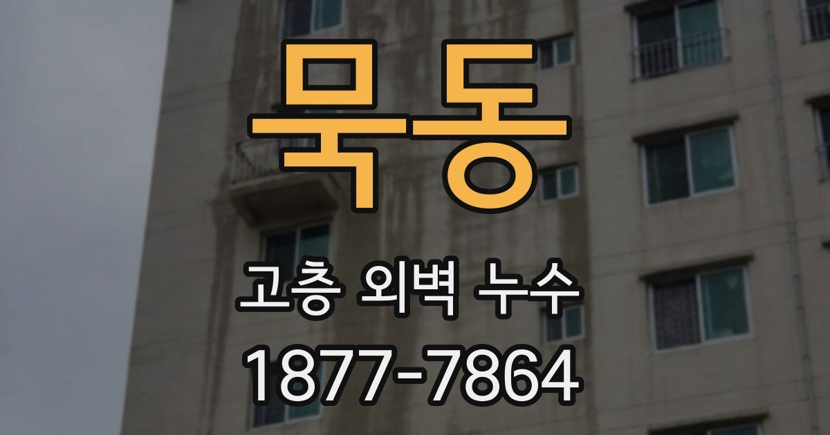 묵동 고층 외벽 누수