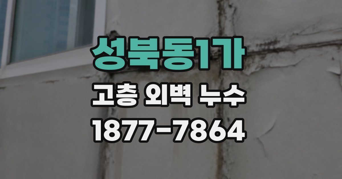 성북동1가 고층 외벽 누수
