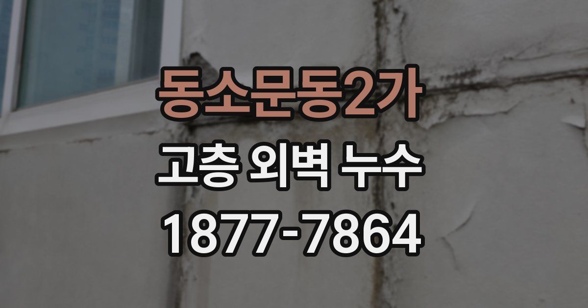 동소문동2가 고층 외벽 누수
