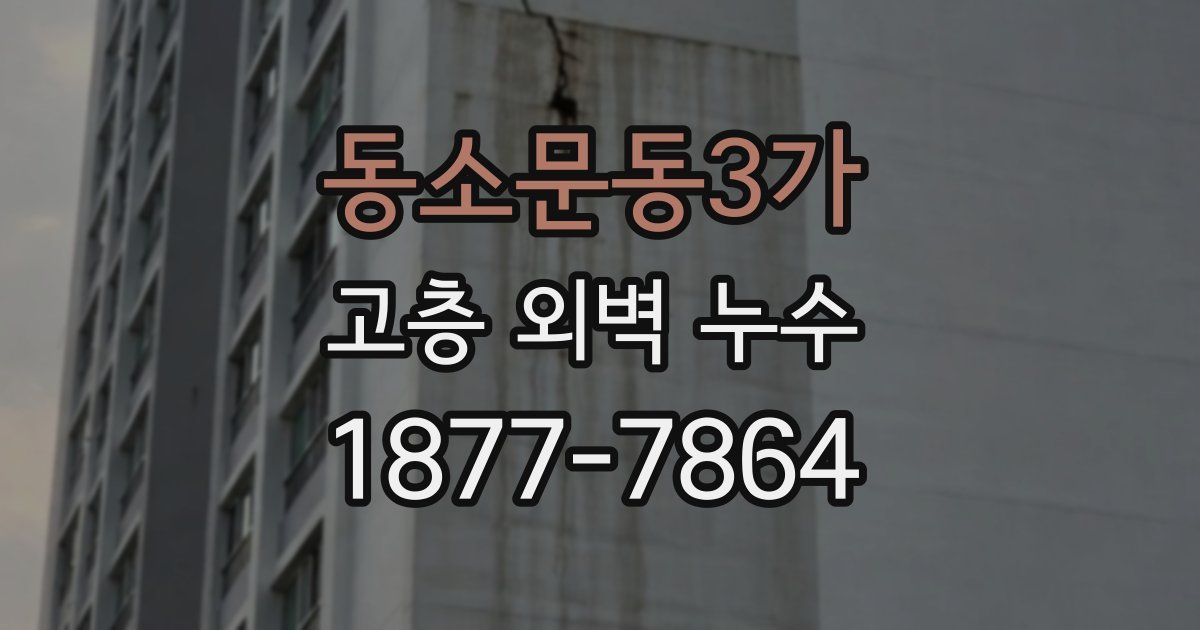 동소문동3가 고층 외벽 누수