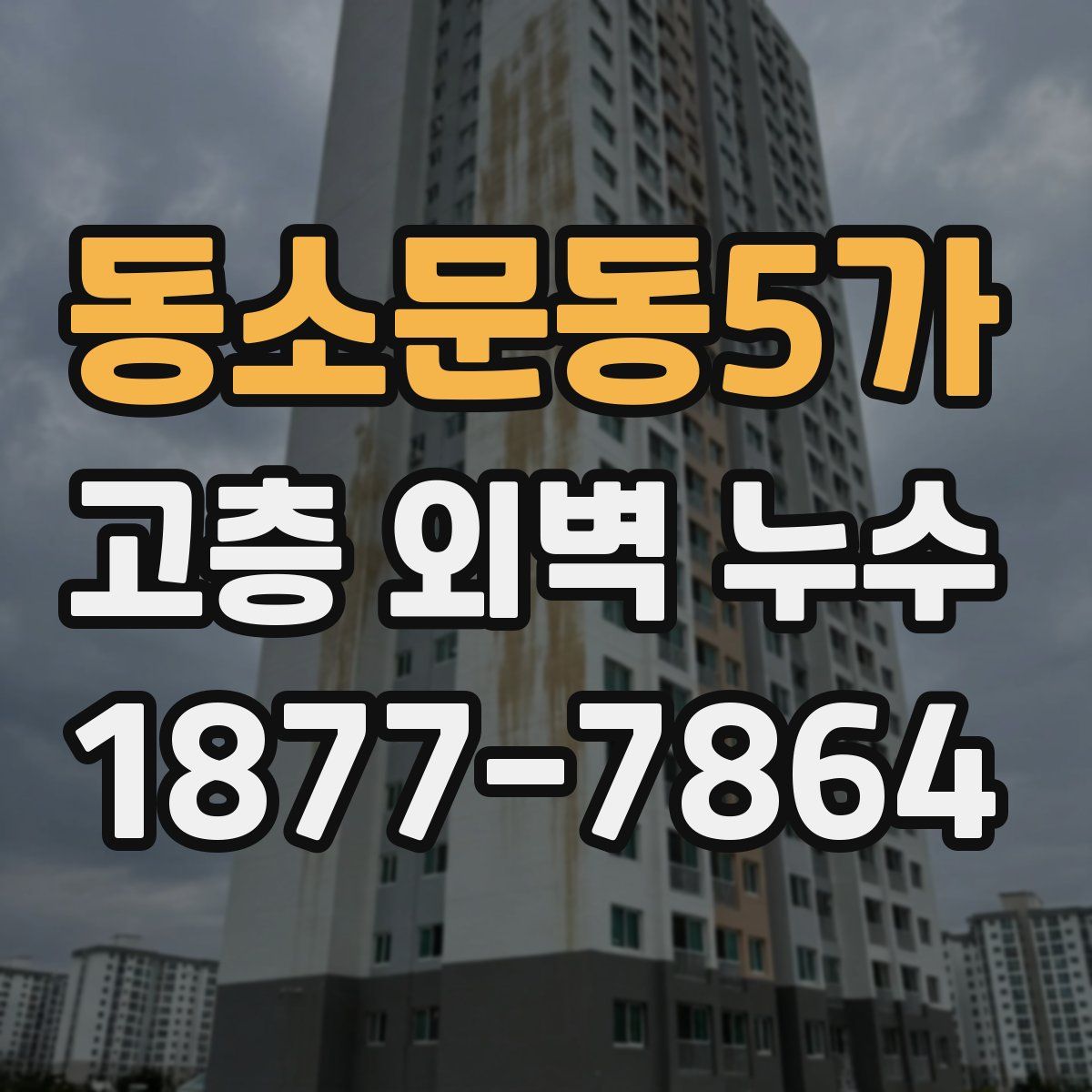 동소문동5가 고층 외벽 누수