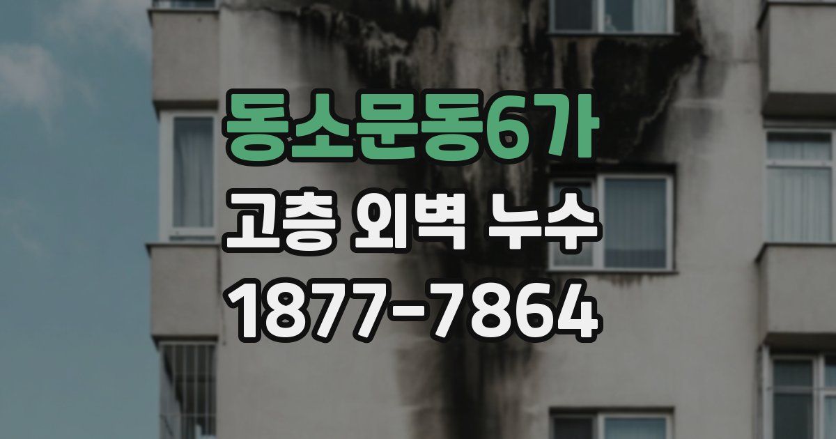 동소문동6가 고층 외벽 누수