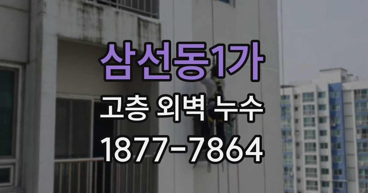 삼선동1가 고층 외벽 누수