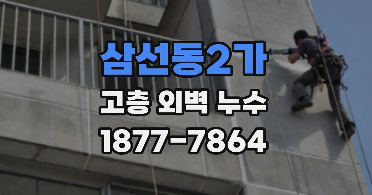삼선동2가 고층 외벽 누수