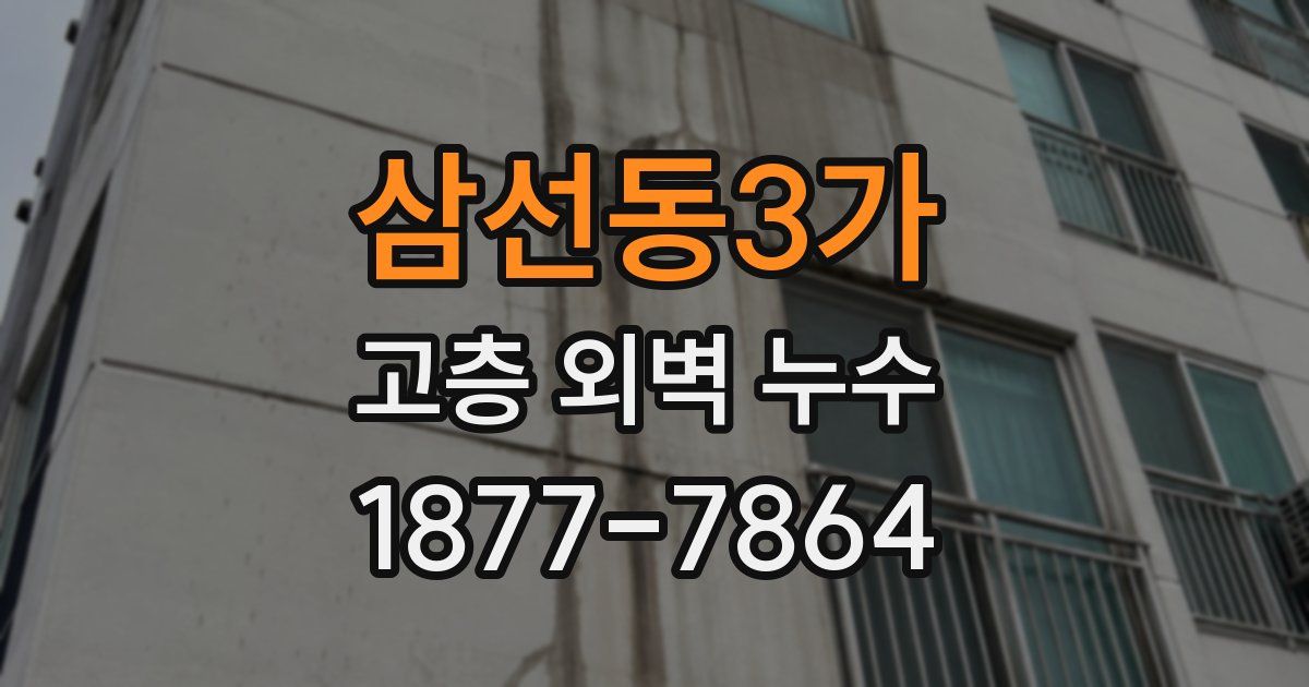 삼선동3가 고층 외벽 누수
