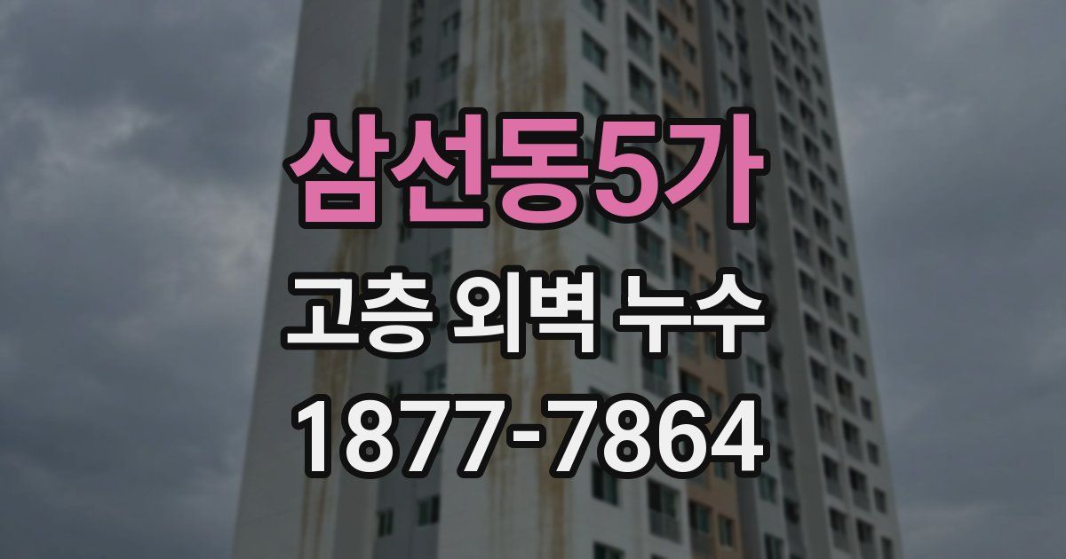 삼선동5가 고층 외벽 누수