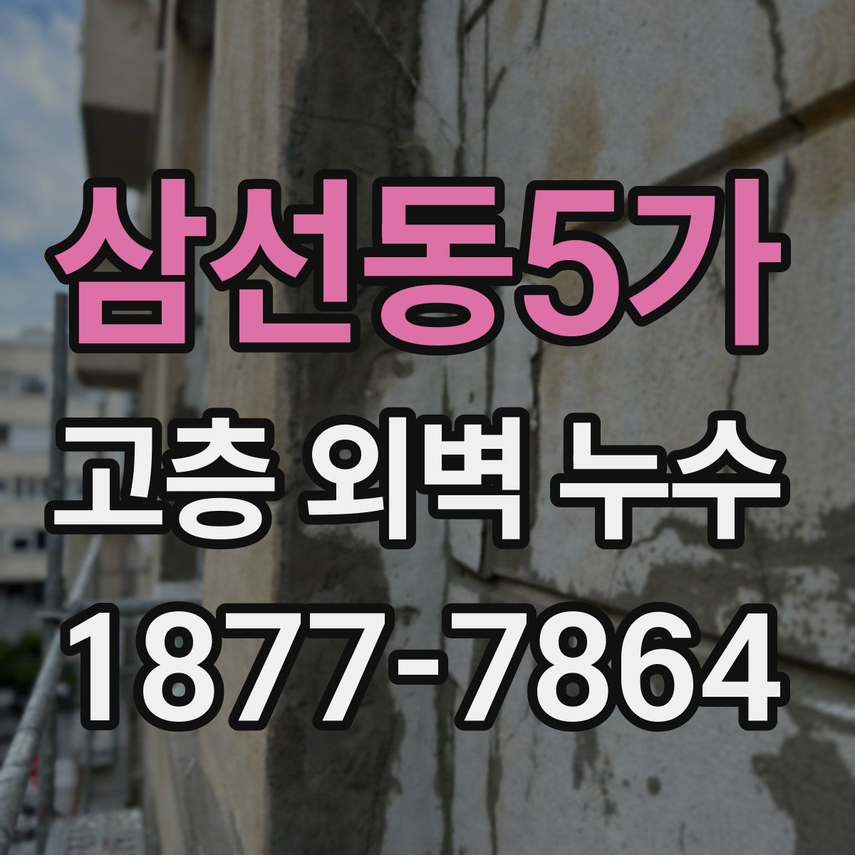 삼선동5가 고층 외벽 누수