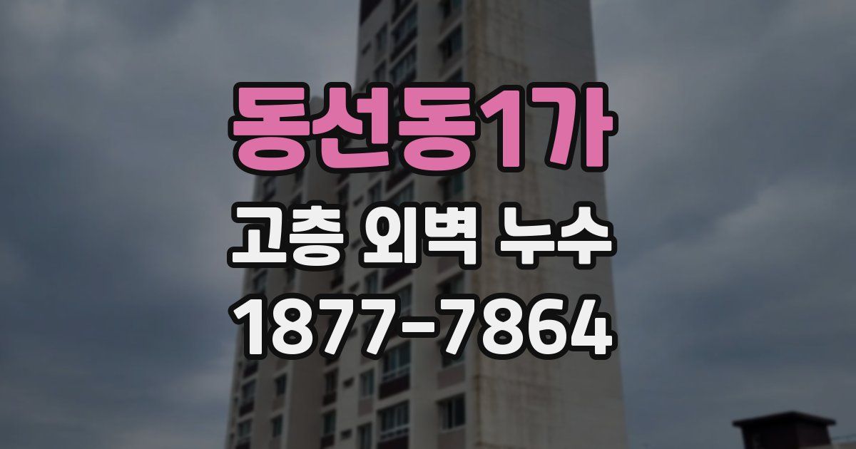 동선동1가 고층 외벽 누수