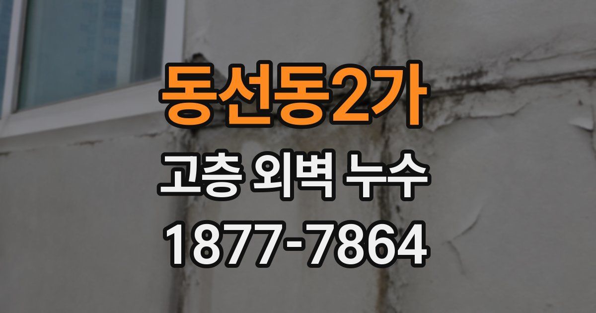 동선동2가 고층 외벽 누수