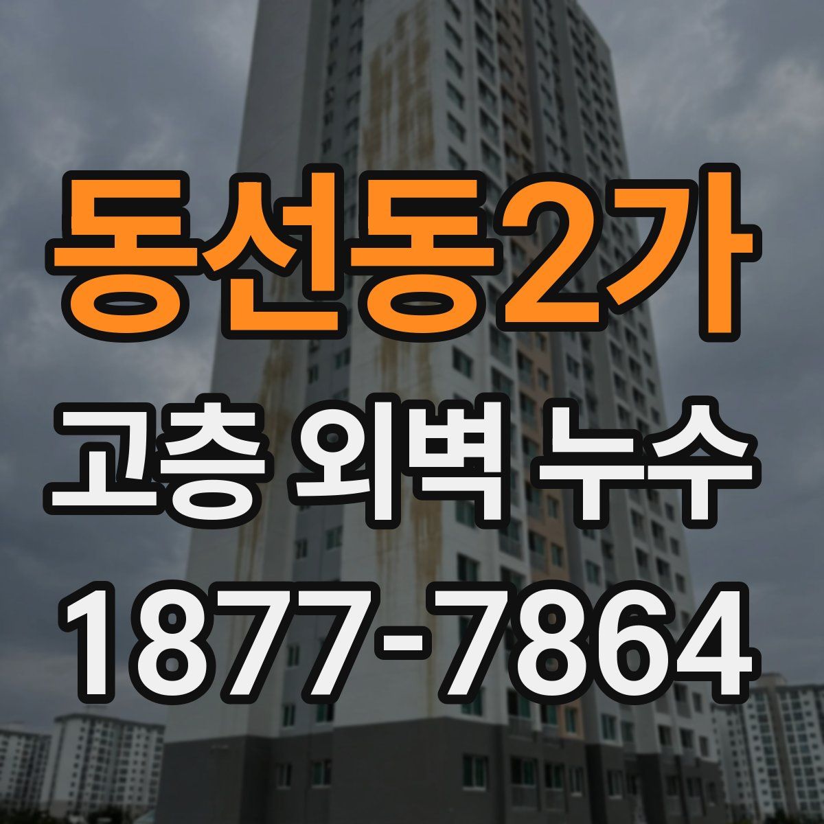 동선동2가 고층 외벽 누수