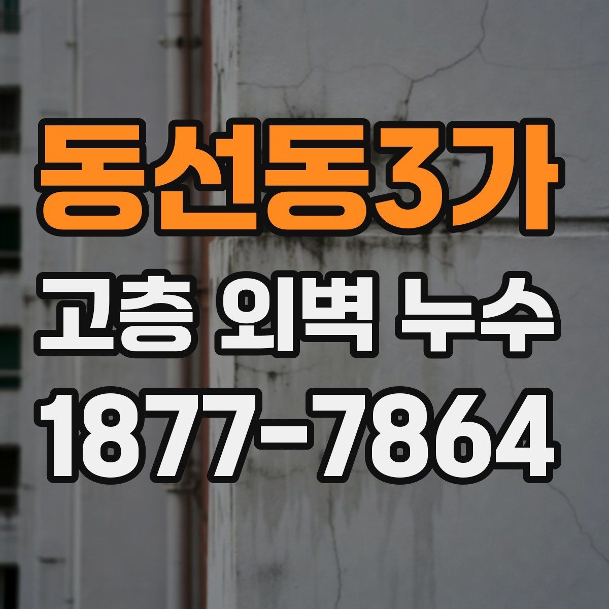 동선동3가 고층 외벽 누수 업체 선정 시 살펴볼 항목