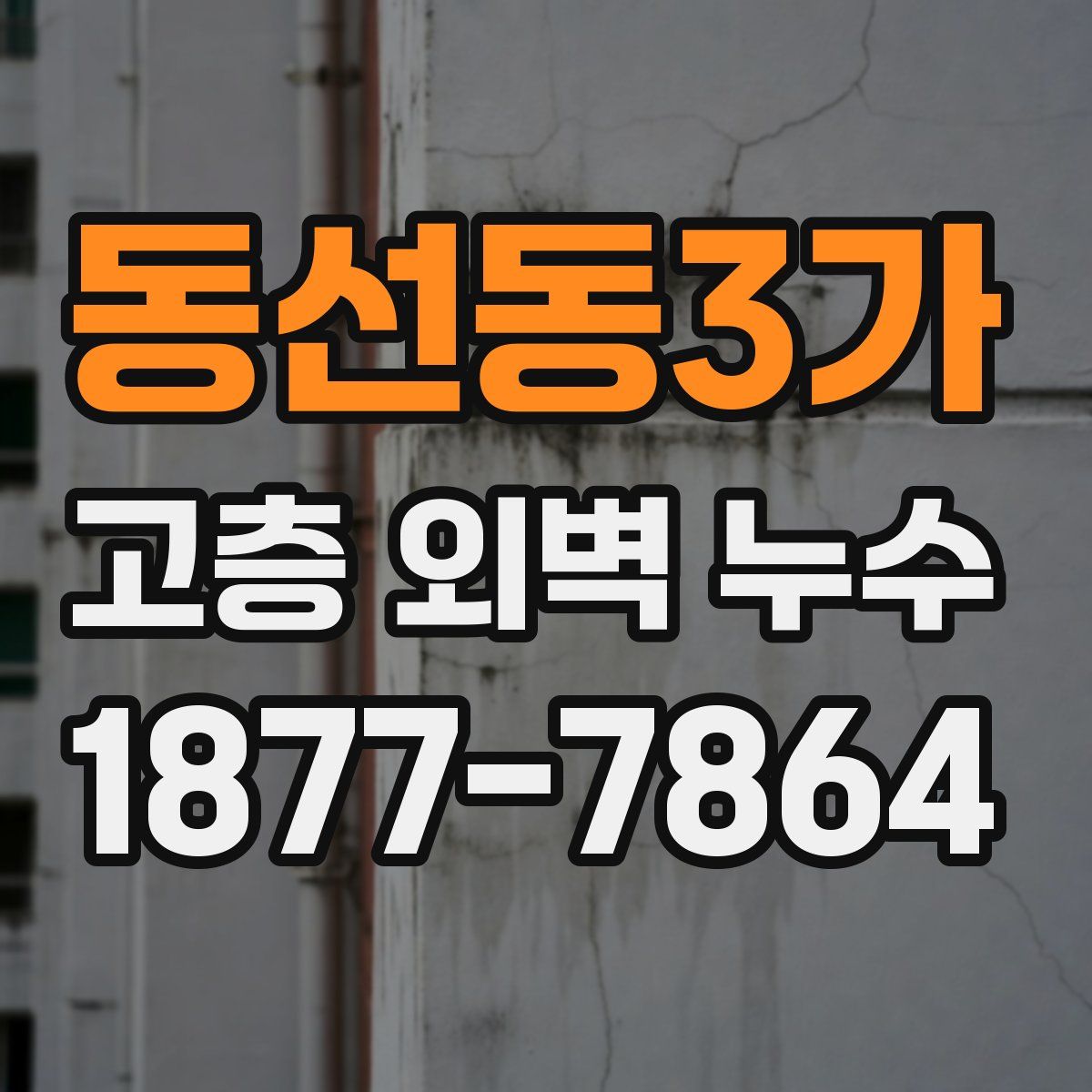 동선동3가 고층 외벽 누수