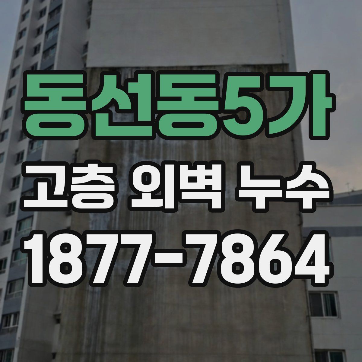 동선동5가 고층 외벽 누수 점검을 맡길 때 보는 기준