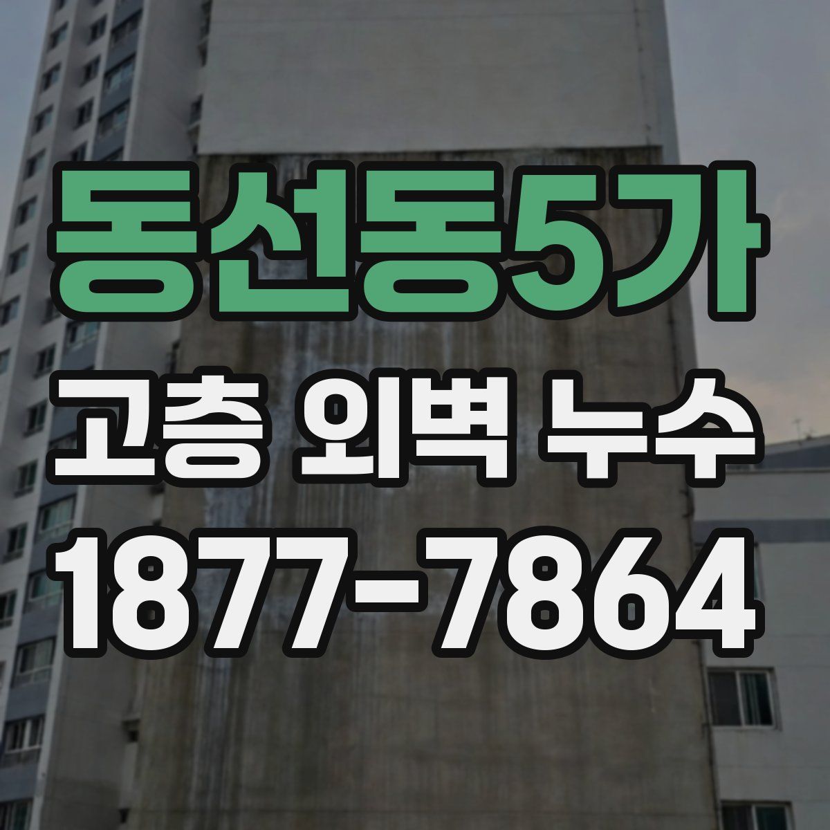 동선동5가 고층 외벽 누수