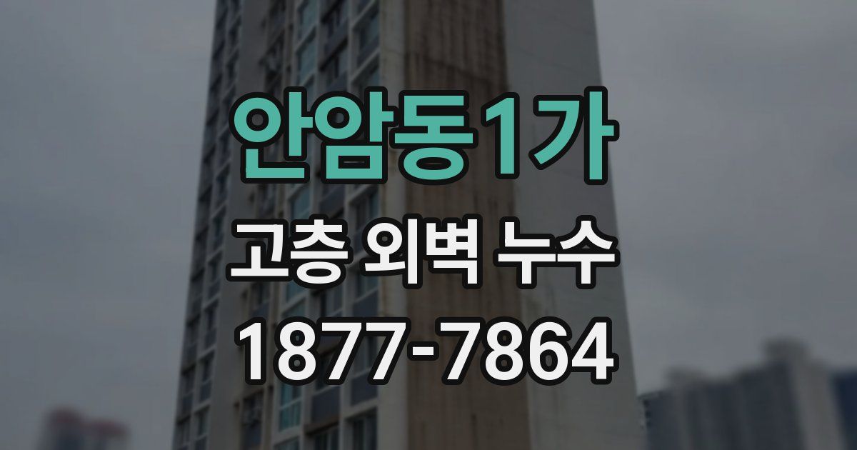 안암동1가 고층 외벽 누수