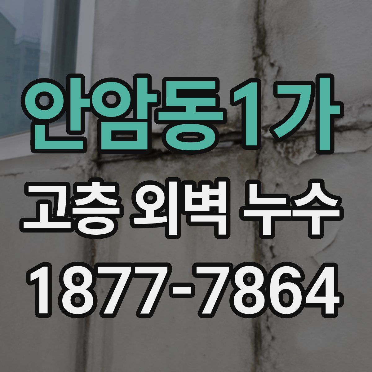 안암동1가 고층 외벽 누수