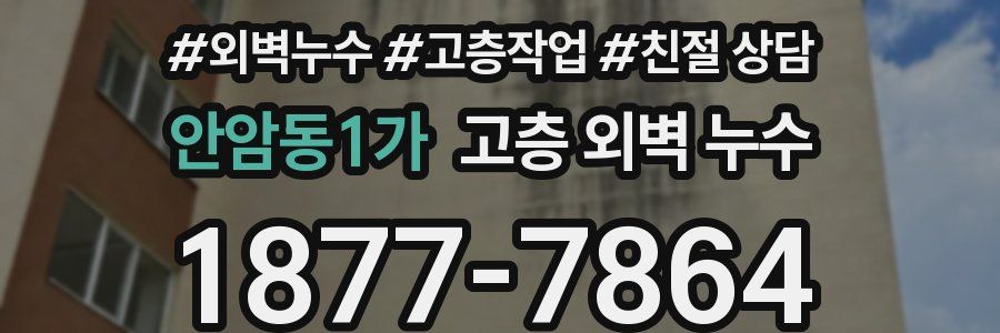 안암동1가 고층 외벽 누수