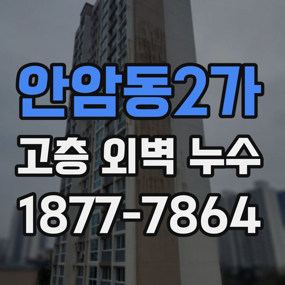 안암동2가 고층 외벽 누수