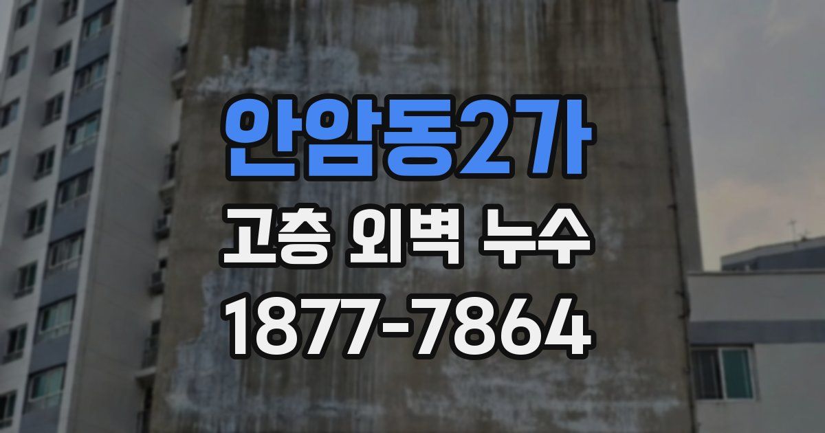 안암동2가 고층 외벽 누수