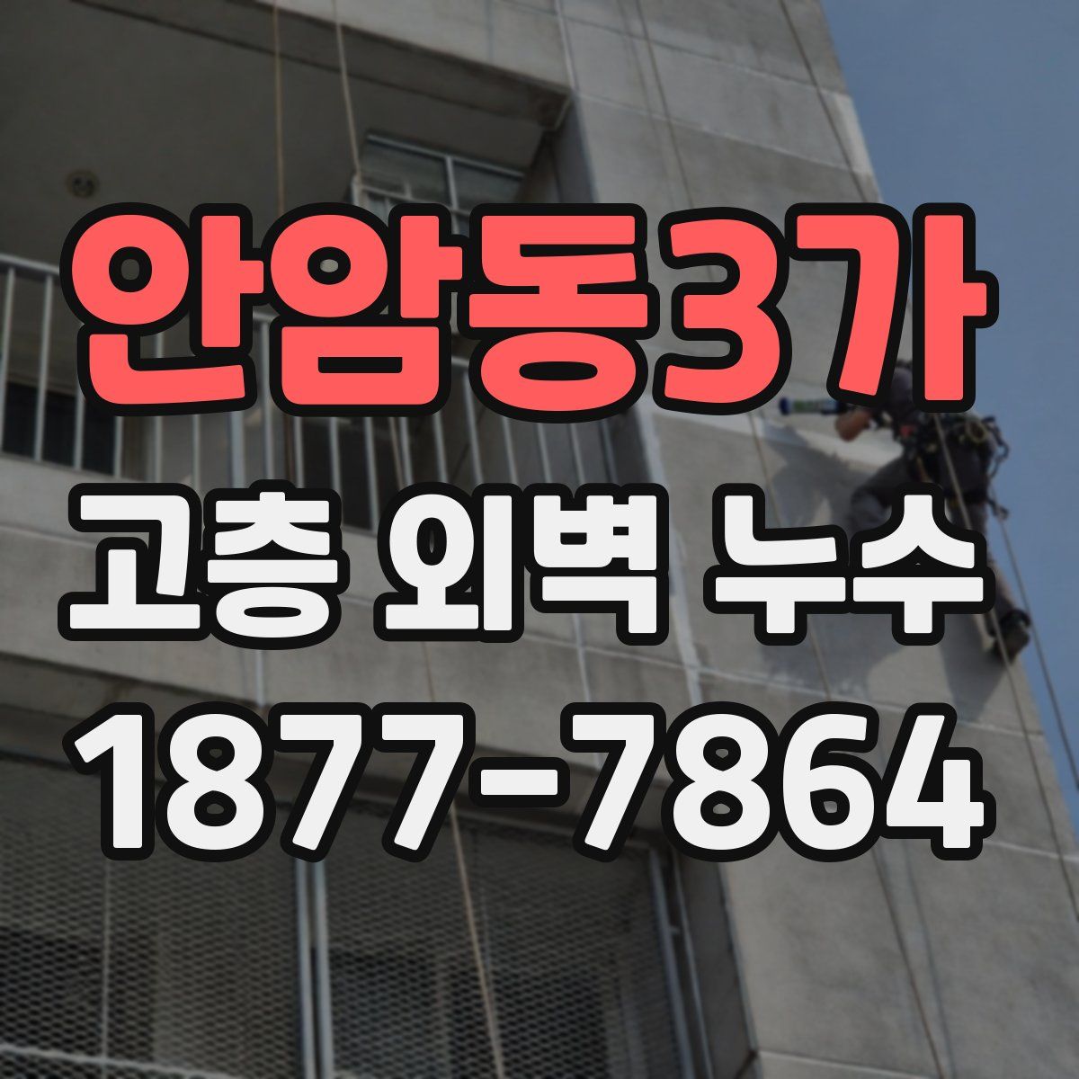 안암동3가 고층 외벽 누수