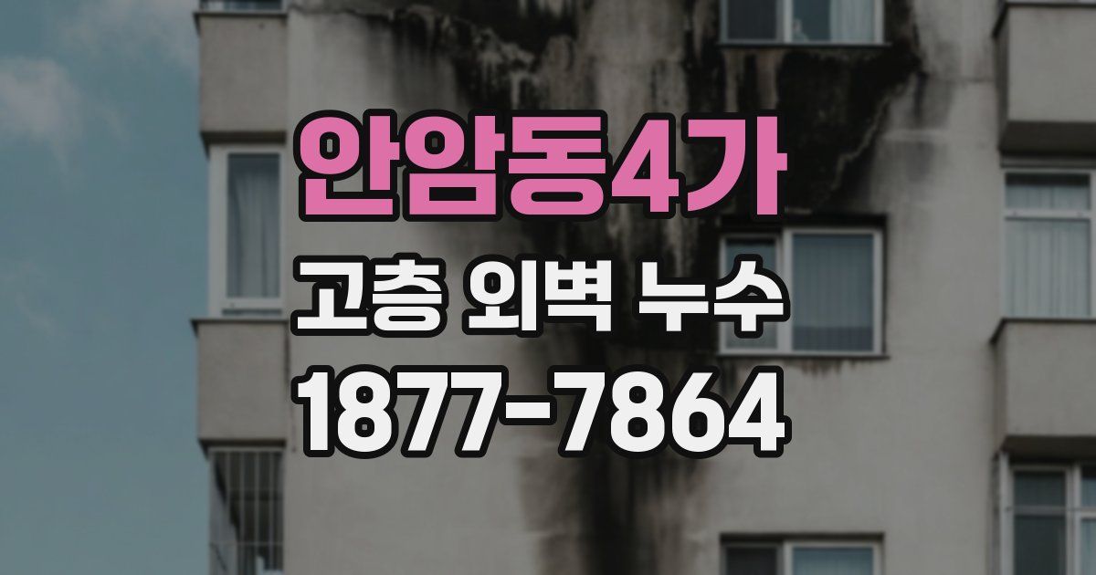 안암동4가 고층 외벽 누수