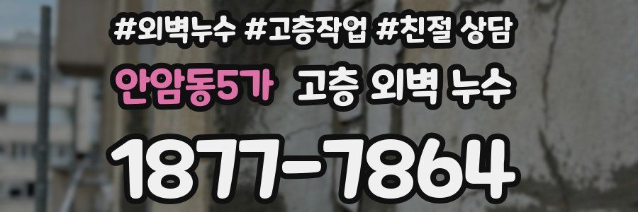 안암동5가 고층 외벽 누수