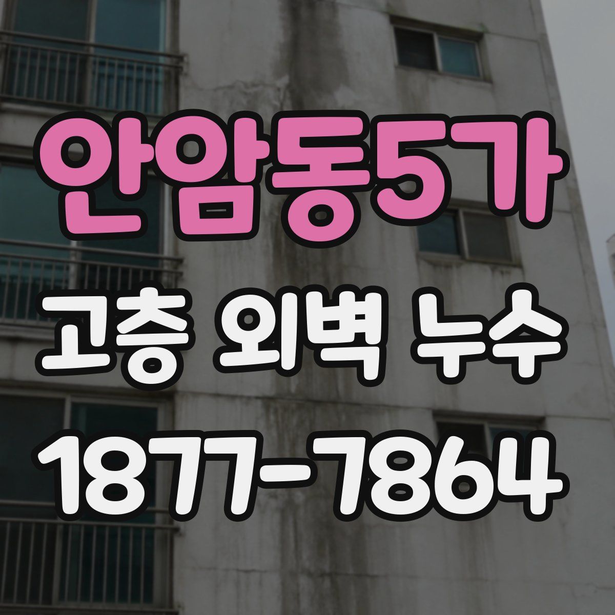 안암동5가 고층 외벽 누수