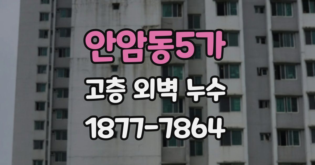 안암동5가 고층 외벽 누수