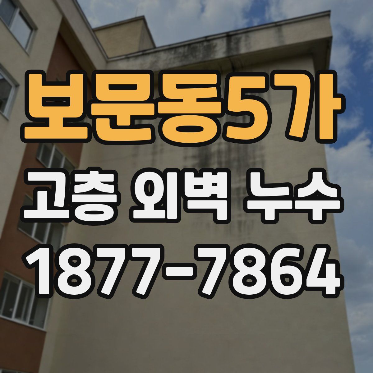 보문동5가 고층 외벽 누수