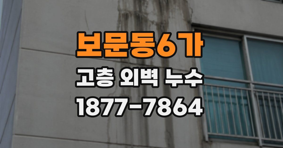 보문동6가 고층 외벽 누수