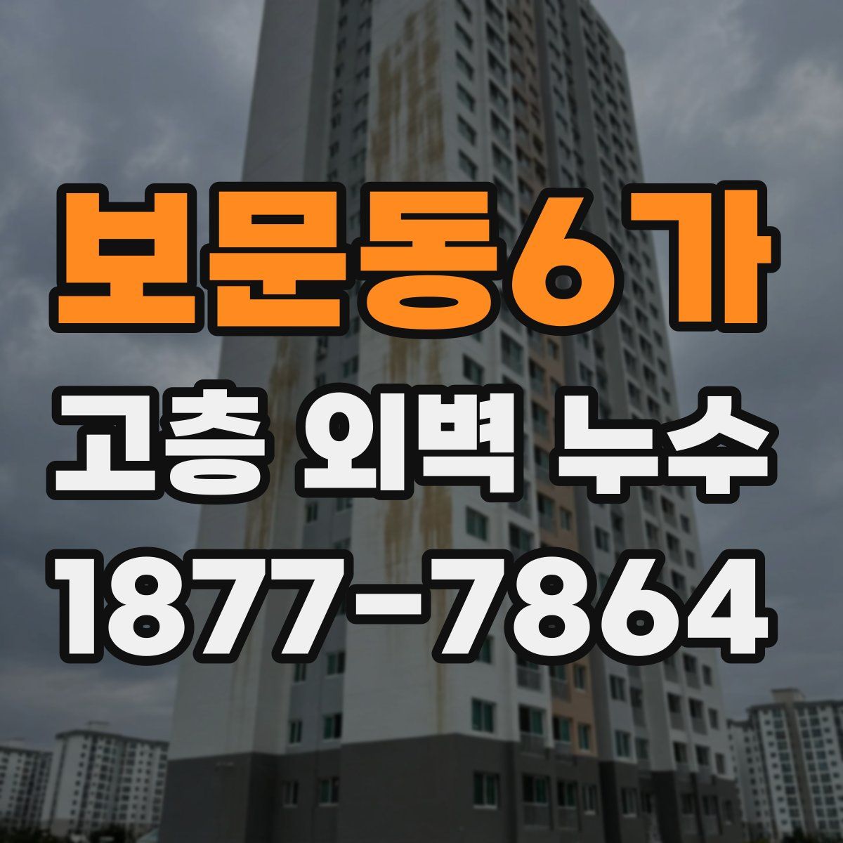 보문동6가 고층 외벽 누수