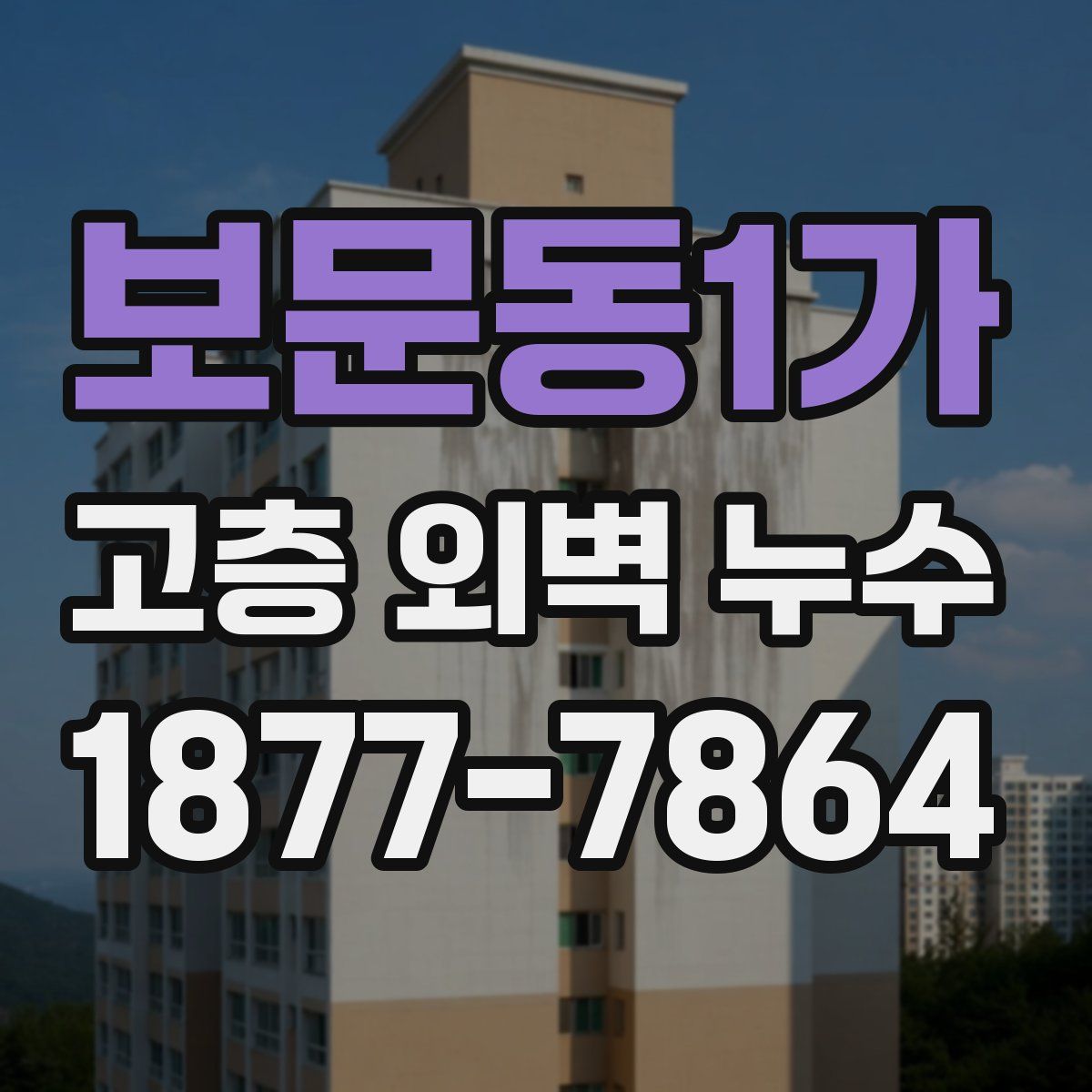 보문동1가 고층 외벽 누수