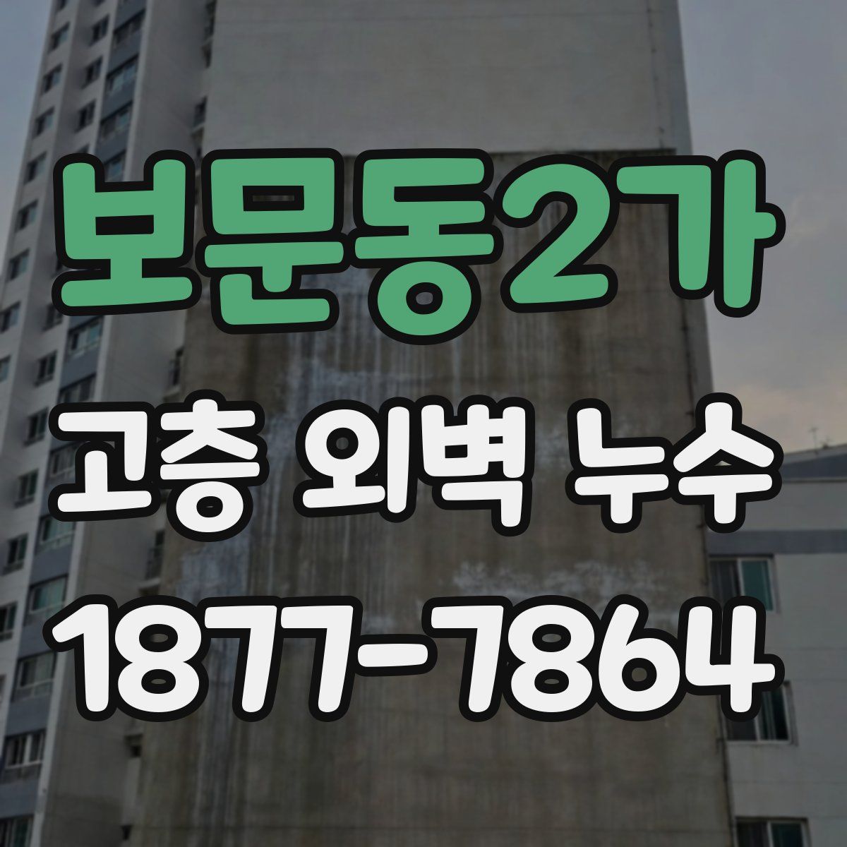 보문동2가 고층 외벽 누수