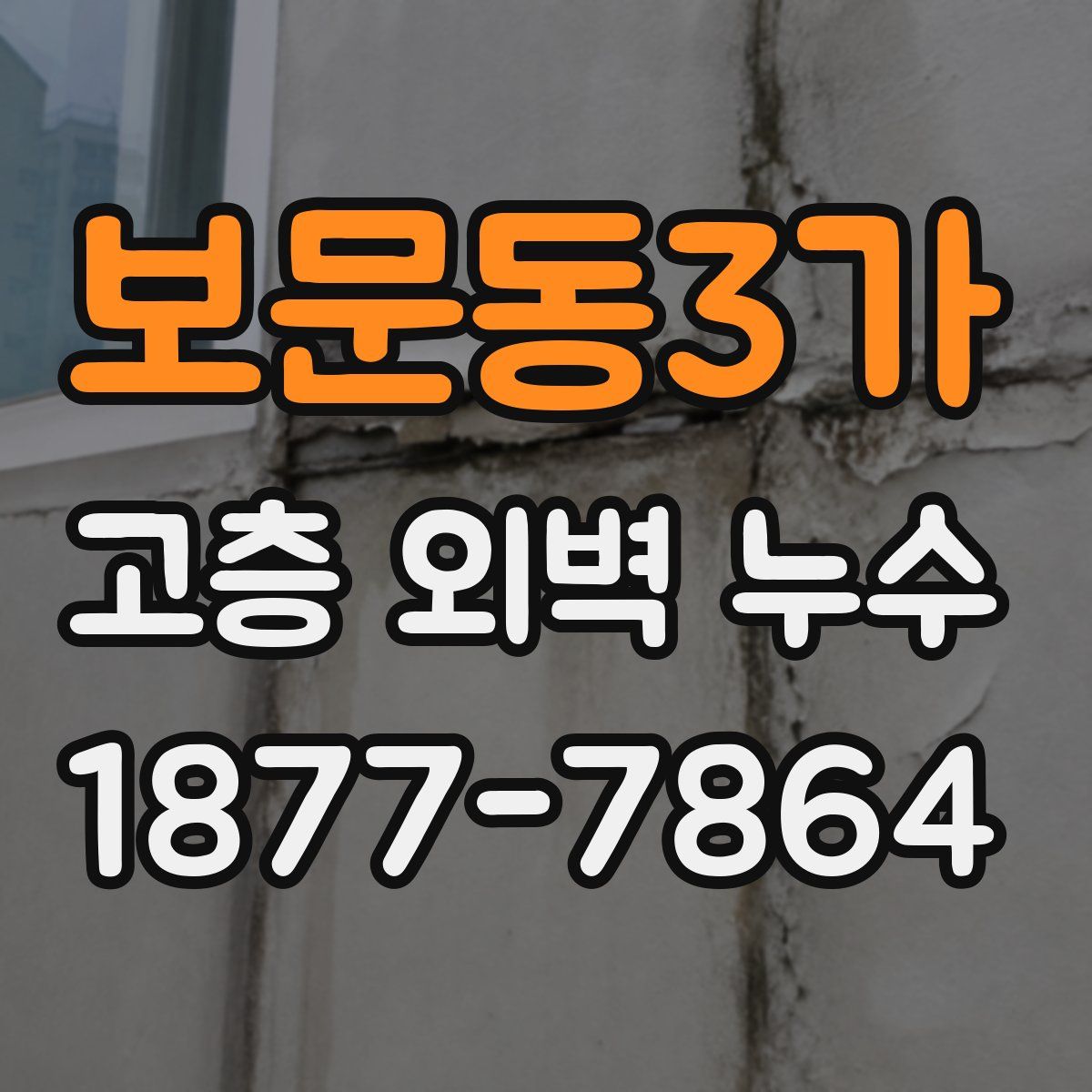 보문동3가 고층 외벽 누수
