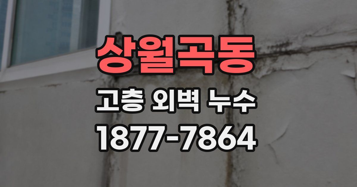 상월곡동 고층 외벽 누수