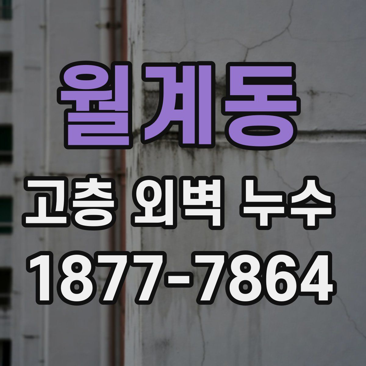 월계동 고층 외벽 누수