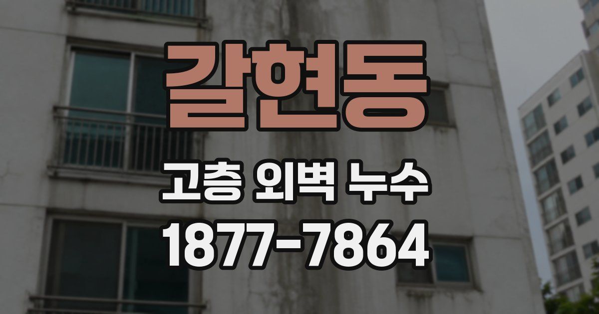갈현동 고층 외벽 누수