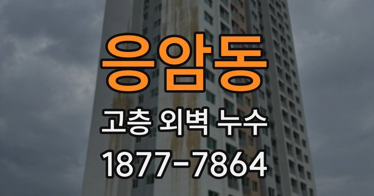 응암동 고층 외벽 누수