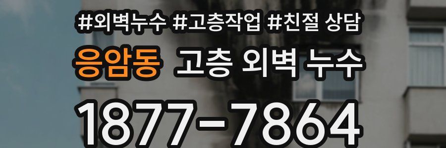 응암동 고층 외벽 누수