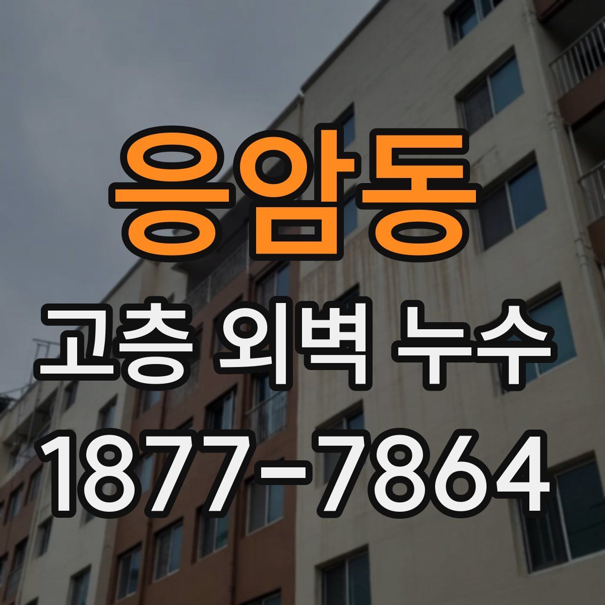 응암동 고층 외벽 누수