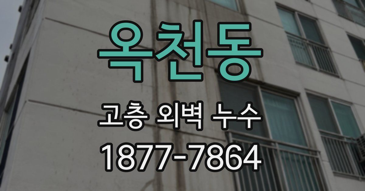옥천동 고층 외벽 누수