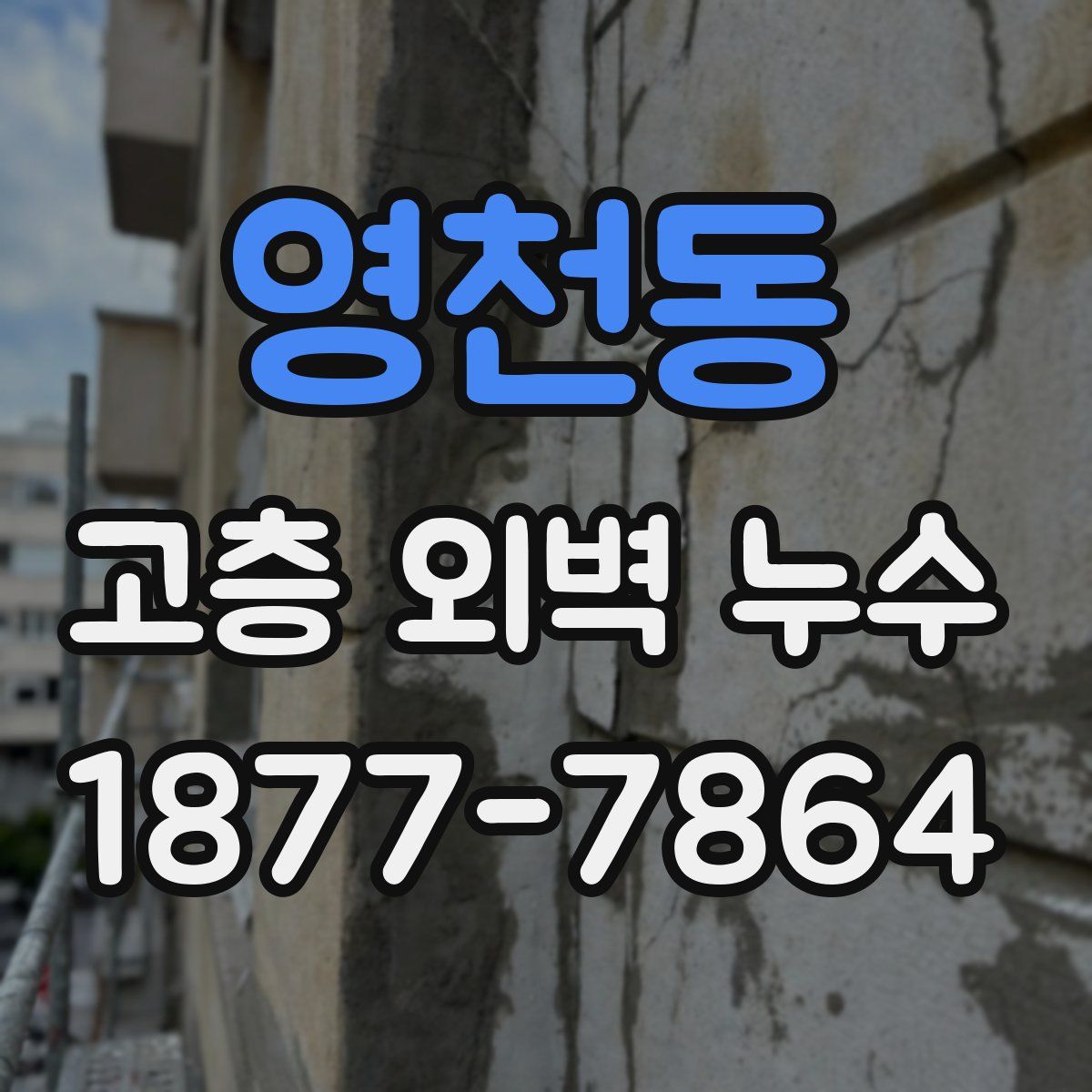영천동 고층 외벽 누수