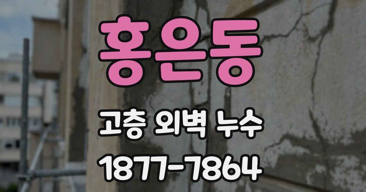 홍은동 고층 외벽 누수
