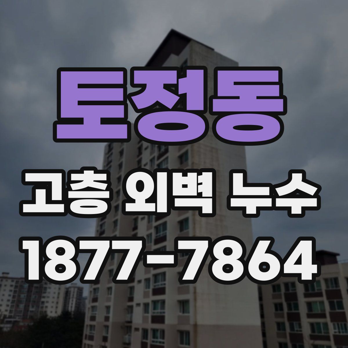 토정동 고층 외벽 누수