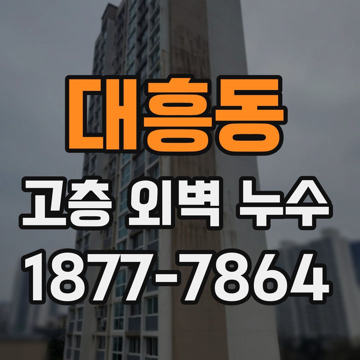 대흥동 고층 외벽 누수