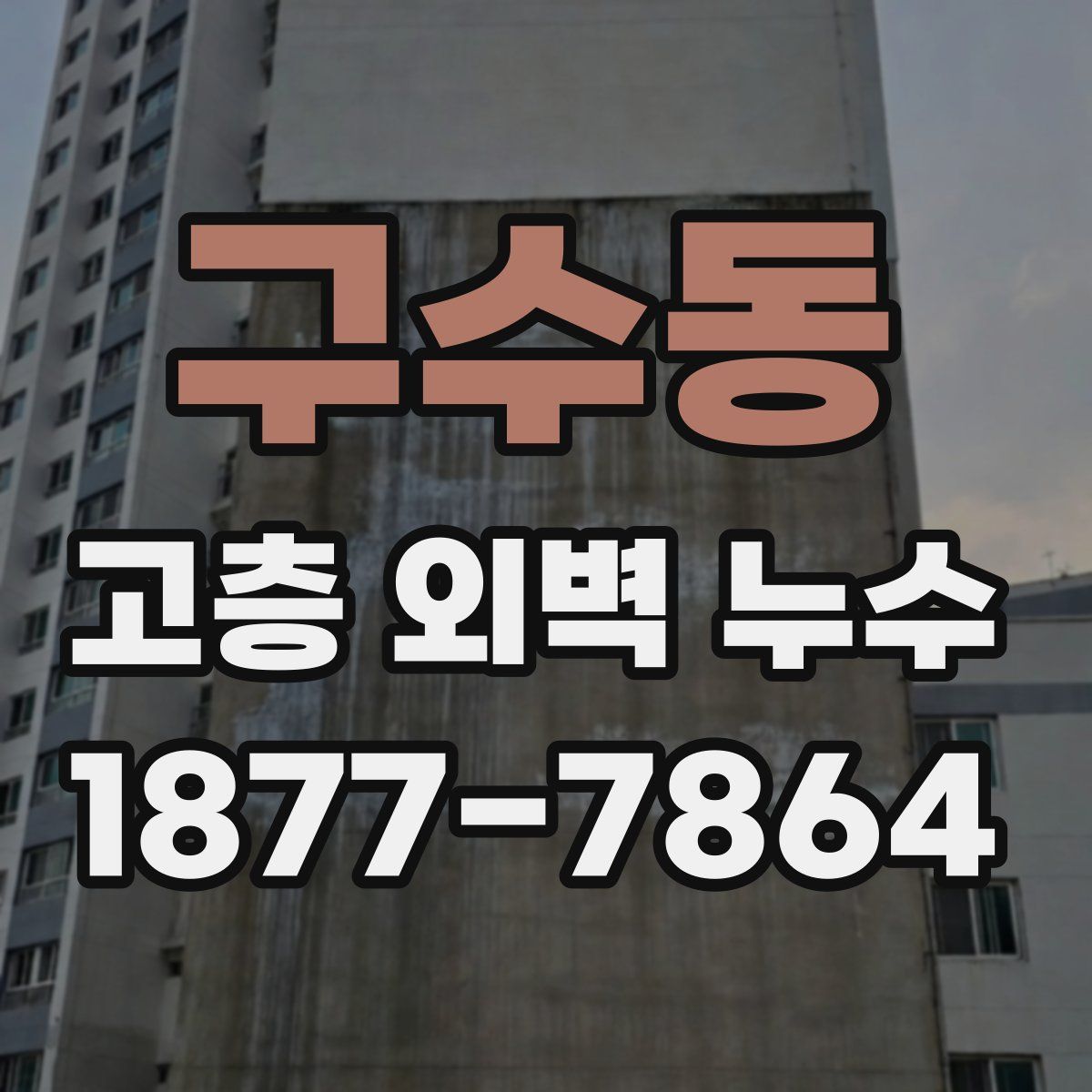 구수동 고층 외벽 누수