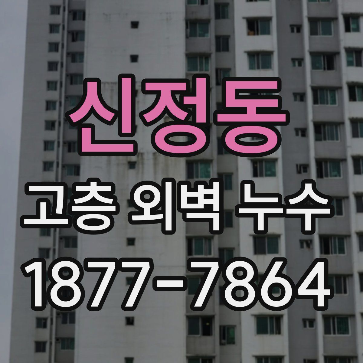 신정동 고층 외벽 누수